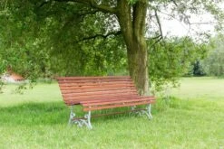 MaximaVida Tuinbank Budapest Oil 170 Cm - Uit Exclusief Mahoniehout -Buitentuinwinkel 1200x800 746