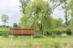 MaximaVida Tuinbank Budapest Oil 170 Cm - Uit Exclusief Mahoniehout -Buitentuinwinkel 1200x800 747