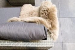 Fonteyn | Loungeset Connor | Melange 21 Fonteyn | Loungeset Connor | Melange -Buitentuinwinkel 1200x800 892