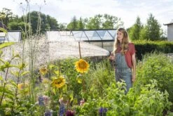 GARDENA - Comfort Broeskop - 5 Straalsoorten - Grijs -Buitentuinwinkel 1200x800 9