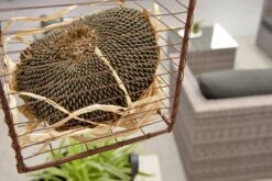 Garden Impressions Montana Loungeset - Organic Grey 26 Garden Impressions Montana Loungeset - Organic Grey -Buitentuinwinkel 1200x801 36