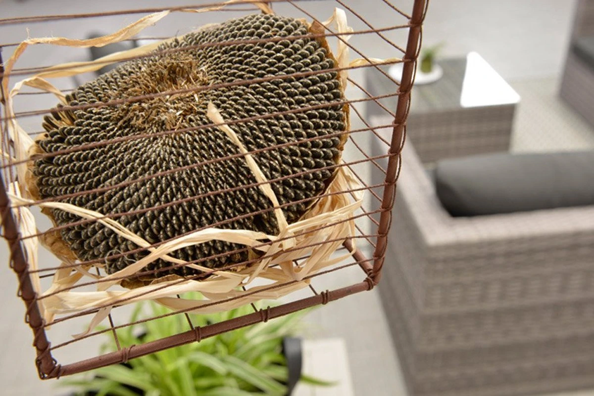 Garden Impressions Montana Loungeset - Organic Grey 9 Garden Impressions Montana Loungeset - Organic Grey - Afbeelding 7