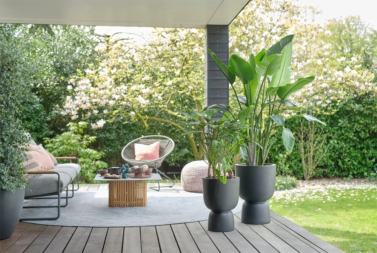 Elho Pure Coupe 35 - Bloempot Voor Binnen & Buiten - Ø 34.9 X H 49.0 Cm - Zwart/Zwart 17 Elho Pure Coupe 35 - Bloempot Voor Binnen & Buiten - Ø 34.9 X H 49.0 Cm - Zwart/Zwart - Afbeelding 15