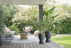 Elho Pure Coupe 41 - Bloempot Voor Binnen & Buiten - Ø 41.3 X H 57.9 Cm - Zwart/Zwart -Buitentuinwinkel 1200x805 3