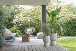 Elho Pure Coupe 35 - Bloempot Voor Binnen & Buiten - Ø 34.9 X H 49.0 Cm - Beige/Balanced Beige -Buitentuinwinkel 1200x808 1