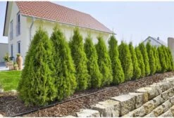 GARDENA Micro Drip System Startset L Druppelsysteem - 50 Meter -Buitentuinwinkel 1200x814