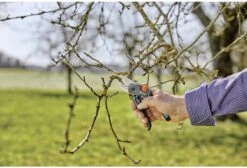 GARDENA - ExpertCut - Snoeischaar - 22 Diameter Tak -Buitentuinwinkel 1200x815 7