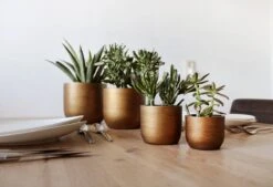 Capi Europe - Set Van 4 - Bloempot Binnen - Retro - - Goud - Bloempot Voor Binnen - BOX-BRTG-4 -Buitentuinwinkel 1200x820 1