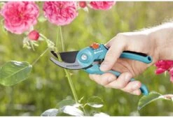 GARDENA - Classic B/S-M Bypass Snoeischaar - Ø 22mm - 25 Jaar Garantie 22 GARDENA - Classic B/S-M Bypass Snoeischaar - Ø 22mm - 25 Jaar Garantie -Buitentuinwinkel 1200x820 4