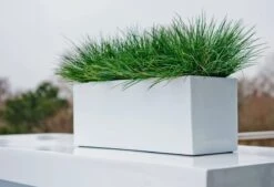 Langwerpige Witte Bloempot Van Naturn Living | Plantenbak | Bloempotten Voor Binnen En Buiten | Wit 7 Langwerpige Witte Bloempot Van Naturn Living | Plantenbak | Bloempotten Voor Binnen En Buiten | Wit -Buitentuinwinkel 1200x821 1