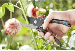 GARDENA Comfort B/M Bypass Snoeischaar - Ø 24mm - Met Sapgeul -Buitentuinwinkel 1200x822 3