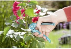 GARDENA 08853-20 Gardena Tuinschaar -Buitentuinwinkel 1200x825 28