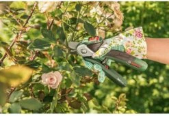 Bosch EasyPrune Accu Snoeischaar - 3.6 V Accu - USB -Buitentuinwinkel 1200x825 30