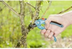 GARDENA Classic Aambeeld Snoeischaar - Ø 18 Mm 8 GARDENA Classic Aambeeld Snoeischaar - Ø 18 Mm -Buitentuinwinkel 1200x825 9