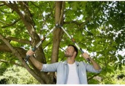 Gardena TeleCut Takkenschaar 650-900 B - Uitschuifbare Armen - Tot Max 90 Cm -Buitentuinwinkel 1200x826 3