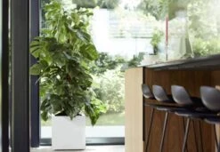 Elho Vivo Matt Finish Vierkant Wielen 40 - Grote Plantenbak Voor Binnen & Buiten - Gemaakt Van Gereycled Plastic - L 39 X W 39 X H 41 Cm - Wit 12 Elho Vivo Matt Finish Vierkant Wielen 40 - Grote Plantenbak Voor Binnen & Buiten - Gemaakt Van Gereycled Plastic - L 39 X W 39 X H 41 Cm - Wit -Buitentuinwinkel 1200x832