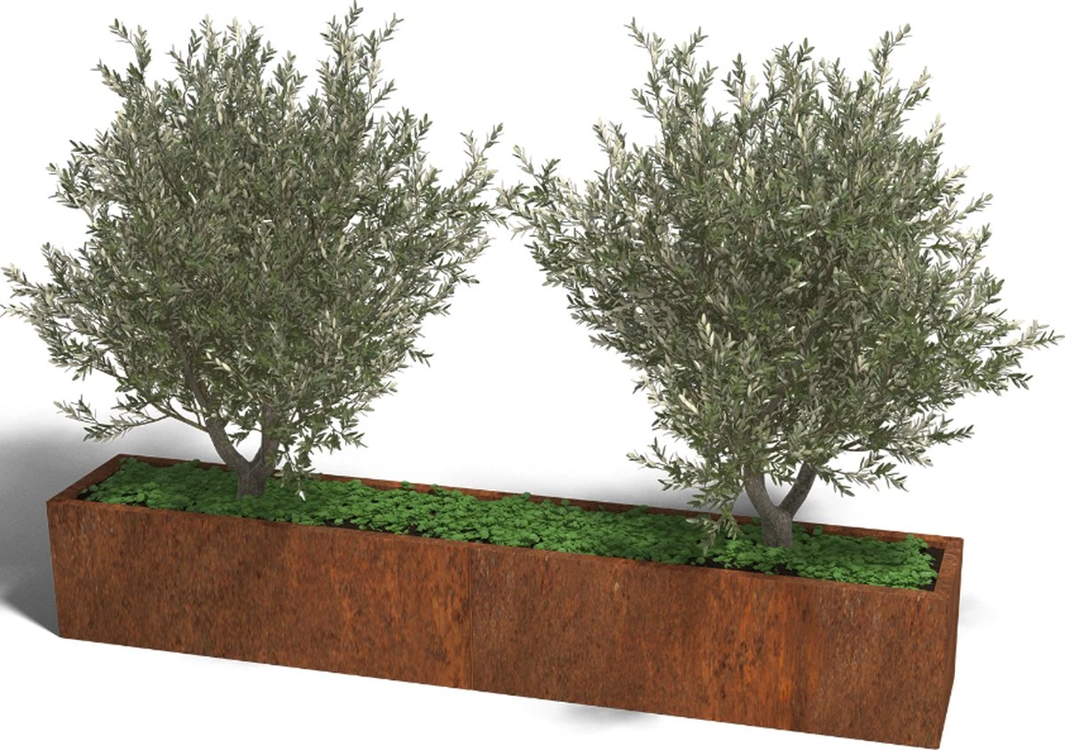 MySteel Cortenstaal Plantenbak Texas Xxl L240 X B40 Cm - Hoogte: 40 Cm 3 MySteel Cortenstaal Plantenbak Texas Xxl L240 X B40 Cm - Hoogte: 40 Cm