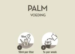 Pokon Palm Voeding - 250ml - Plantenvoeding - 10ml Per 1L Water -Buitentuinwinkel 1200x856 1