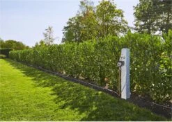 GARDENA - Besproeiingscomputer Flex - Geen App Vereist -Buitentuinwinkel 1200x856