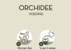 Pokon Orchidee Voeding - 250ml - Plantenvoeding - 10ml Per 1L Water -Buitentuinwinkel 1200x856 3