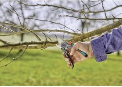 GARDENA - ExpertCut - Snoeischaar - 22 Diameter Tak -Buitentuinwinkel 1200x859 5