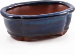 Happy Seed Keramieken Bonsai Pot (schaal) - Marine Blauw - Geglazuurd -Buitentuinwinkel 1200x873