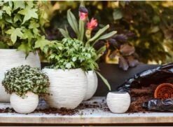 Capi Europe - Set Van 3 - Bloempot Binnen - Rib Ivoor -Buitentuinwinkel 1200x878 3