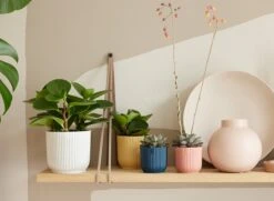 Elho Vibes Fold Rond Wielen 35 - Bloempot Voor Binnen - Ø 34.9 X H 32.4 Cm - Zijdewit -Buitentuinwinkel 1200x879 8