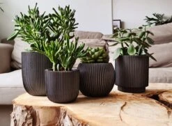 Capi Europe - Set Van 4 - Bloempot Binnen - Groove - Antraciet 9 Capi Europe - Set Van 4 - Bloempot Binnen - Groove - Antraciet -Buitentuinwinkel 1200x881 1