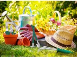 Tuingereedschap Set Tuinierset 10 Delig - Snoeischaar Tuinschaar Bloemenschaar Tuinschepje Plantenspuit Handhark 18 Tuingereedschap Set Tuinierset 10 Delig - Snoeischaar Tuinschaar Bloemenschaar Tuinschepje Plantenspuit Handhark -Buitentuinwinkel 1200x885 6