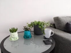 Merkloos Pokémon Bulbasaur Bloempot - Inclusief Opvangschaal - Pastelgroen -Buitentuinwinkel 1200x899 12