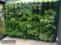 Minigarden Vertical Verticale Tuin - Wit 11 Minigarden Vertical Verticale Tuin - Wit -Buitentuinwinkel 1200x900 16