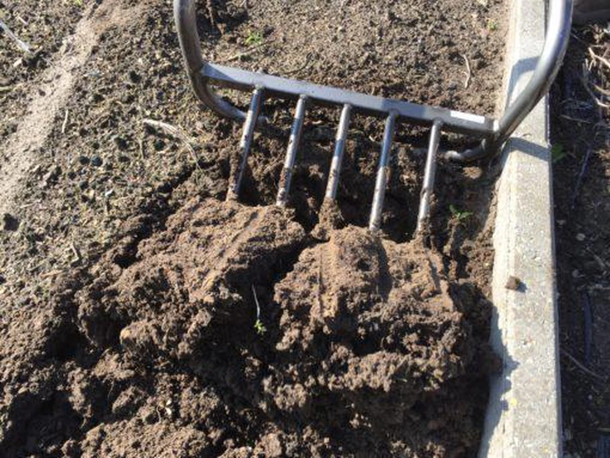 Ergo Woelvork 5 Tanden Depypere 5 Ergo Woelvork 5 Tanden Depypere - Afbeelding 3