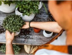 Capi Europe - Set Van 3 - Bloempot Binnen - Rib Ivoor -Buitentuinwinkel 1200x930 2