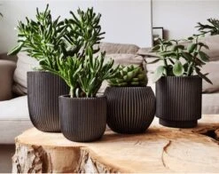 Capi Europe - Set Van 4 - Bloempot Binnen - Groove - Antraciet 11 Capi Europe - Set Van 4 - Bloempot Binnen - Groove - Antraciet -Buitentuinwinkel 1200x953