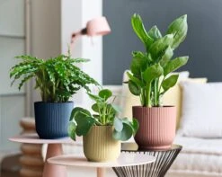 Elho Vibes Fold Rond Wielen 35 - Bloempot Voor Binnen - Ø 34.9 X H 32.4 Cm - Diepblauw -Buitentuinwinkel 1200x956 1