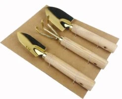 Botang 3-delige Metalen Tuingereedschap Set, Mini Troffel, Harkje En Transplanter - Opgelet Mini Set -Buitentuinwinkel 1200x974 3