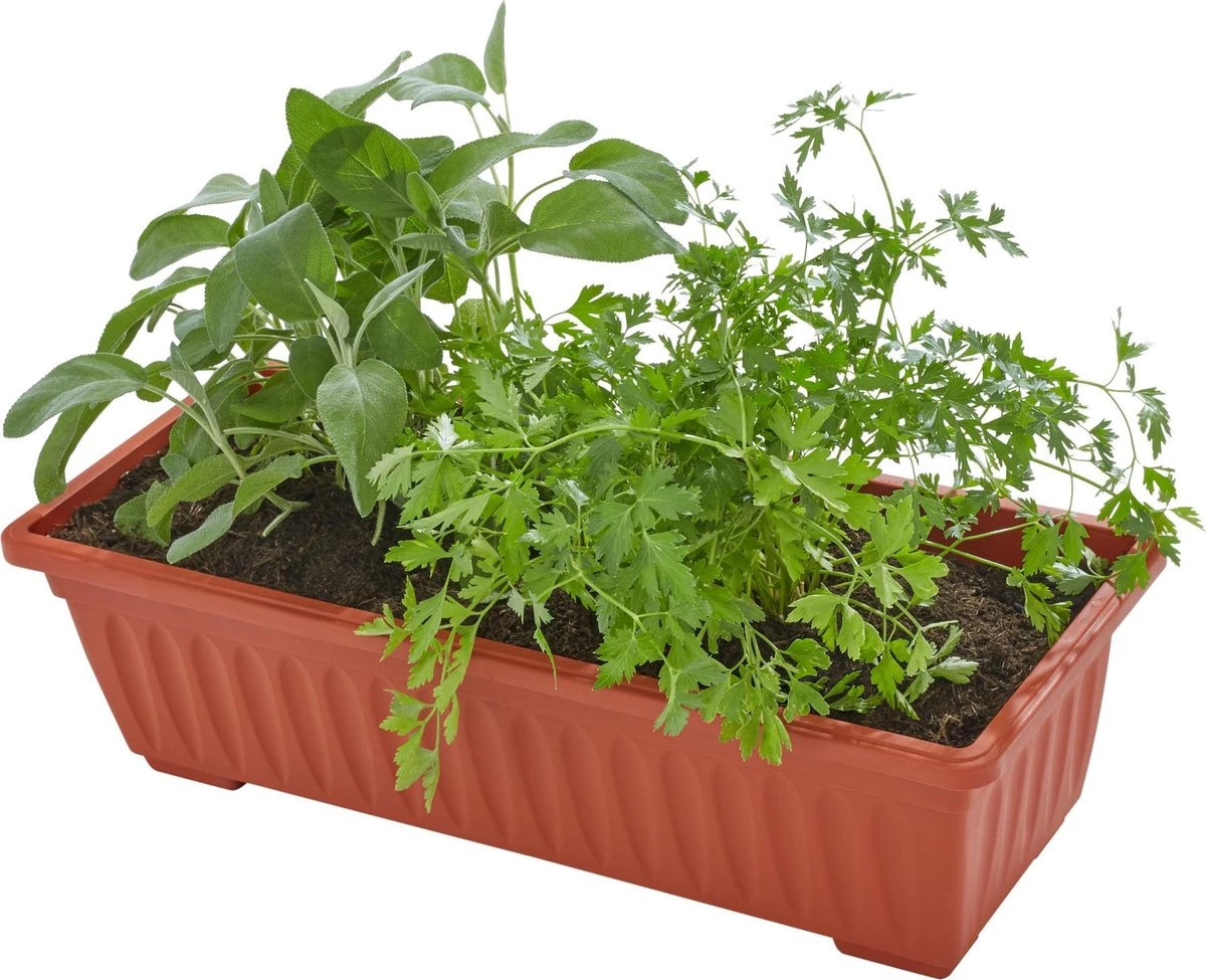 Tectake - Verticaal Plantenrek Met 4 Bakken - 403445 6 Tectake - Verticaal Plantenrek Met 4 Bakken - 403445 - Afbeelding 4