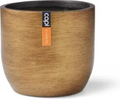 Capi Europe - Bloempot Bol Retro - 23x21 - Goud - Bloempot Voor Binnen - BRTG134 29 Capi Europe - Bloempot Bol Retro - 23x21 - Goud - Bloempot Voor Binnen - BRTG134 -Buitentuinwinkel 1200x992 5