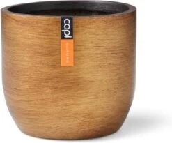 Capi Europe - Bloempot Bol Retro - 23x21 - Goud - Bloempot Voor Binnen - BRTG134 27 Capi Europe - Bloempot Bol Retro - 23x21 - Goud - Bloempot Voor Binnen - BRTG134 -Buitentuinwinkel 1200x995