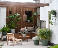 Elho Greenville Rond 30 - Grote Bloempot Voor Buiten - Gemaakt Van Gereycled Plastic - Ø 29.5 X H 27.8 Cm - Blad Groen 20 Elho Greenville Rond 30 - Grote Bloempot Voor Buiten - Gemaakt Van Gereycled Plastic - Ø 29.5 X H 27.8 Cm - Blad Groen -Buitentuinwinkel 1200x996 2