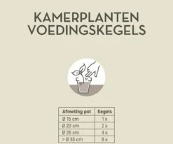 Pokon Kamerplanten Voedingskegels - 10st - Plantenvoeding - 6 Maanden Voeding -Buitentuinwinkel 1200x999 1