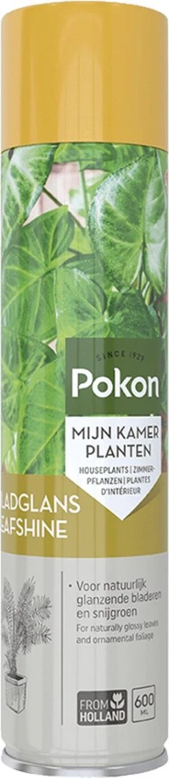 Pokon Bladglans 600ml -Buitentuinwinkel 262x1200 2