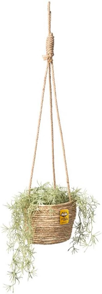 Merkloos Plantenhanger 18x15cm Naturel | Hangende Mand | Handgemaakt | Planten-houder / Hang-plant | Planten Accessoires | Hangmand 7 Merkloos Plantenhanger 18x15cm Naturel | Hangende Mand | Handgemaakt | Planten-houder / Hang-plant | Planten Accessoires | Hangmand - Afbeelding 5