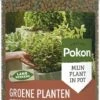 Pokon Voedingskorrels Voor Groene Planten - 800gr - 180 Dagen Voeding - Plantenvoeding -Buitentuinwinkel 480x1200