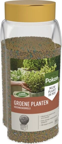 Pokon Voedingskorrels Voor Groene Planten - 800gr - 180 Dagen Voeding - Plantenvoeding -Buitentuinwinkel 523x1200