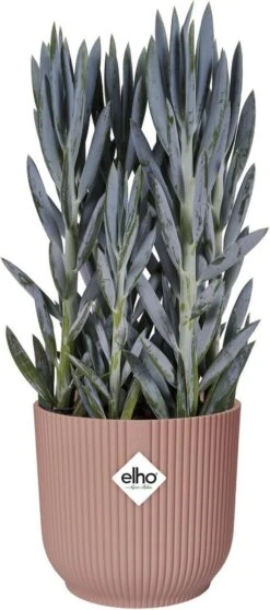 Elho Vibes Fold Rond Wielen 35 - Bloempot Voor Binnen - Ø 34.9 X H 32.4 Cm - Delicaat Roze 23 Elho Vibes Fold Rond Wielen 35 - Bloempot Voor Binnen - Ø 34.9 X H 32.4 Cm - Delicaat Roze -Buitentuinwinkel 531x1200 2