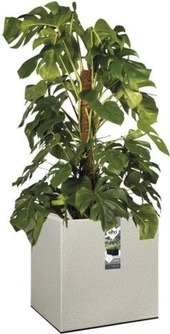 Elho Vivo Structure Finish Vierkant 40 - Plantenbak Voor Binnen & Buiten - Ø 39 X H 41 - Grijs/Warm Grijs -Buitentuinwinkel 613x1200 2