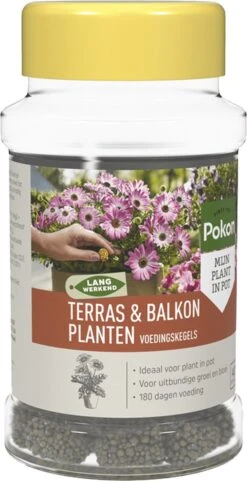 Pokon Voedingskegels Voor Terras- & Balkonplanten - 40 Stuks - 180 Dagen Voeding - Plantenvoeding -Buitentuinwinkel 616x1200 2