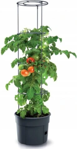 TOMATENPOT VOOR HET KWEKEN VAN TOMATEN PROSPERPLAST 28L -Buitentuinwinkel 621x1200 8